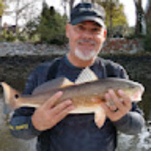 Meet your Posher, Martin